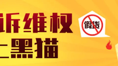法国橄榄球队特训：文班力量与移动技巧大提升